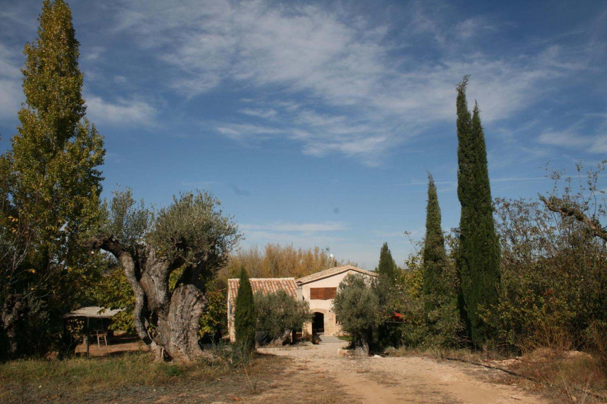Hostal Maset Del Riu Valderrobres Exterior foto